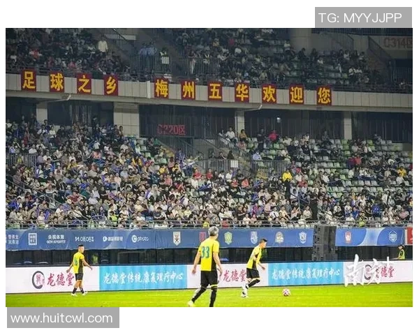 曹大师深度剖析足球明星现象背后的社会问题与文化影响